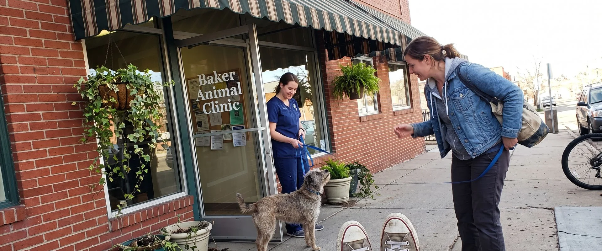 veterinarian in Baker, Denver CO