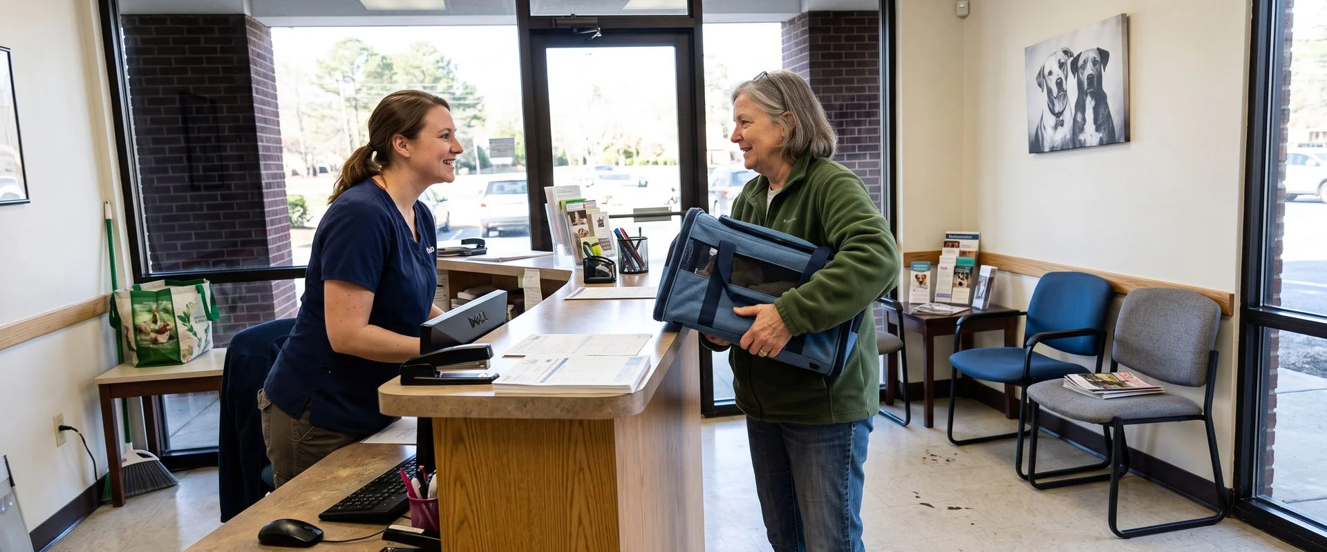 veterinarian in Southeast, Denver CO