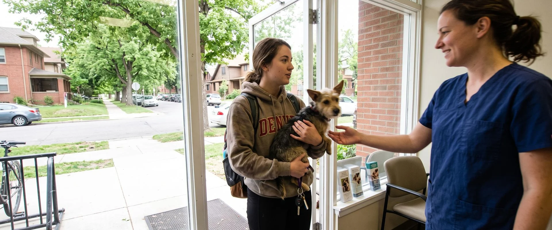 veterinarian in University Park, Denver CO