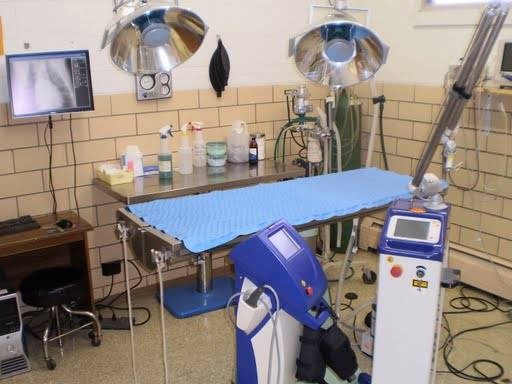 Cherrelyn Animal Hospital
