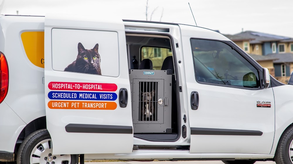 Pet Medical Transport