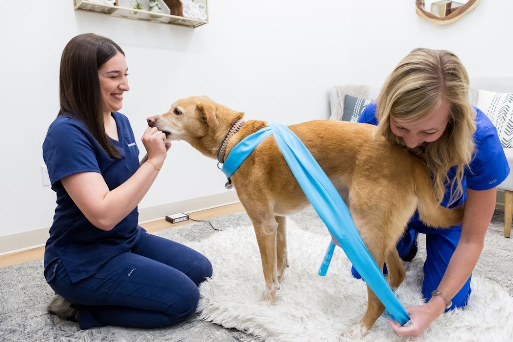 Walking Paws Rehab