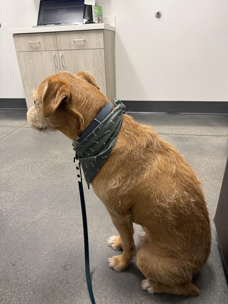 Montclair Animal Clinic