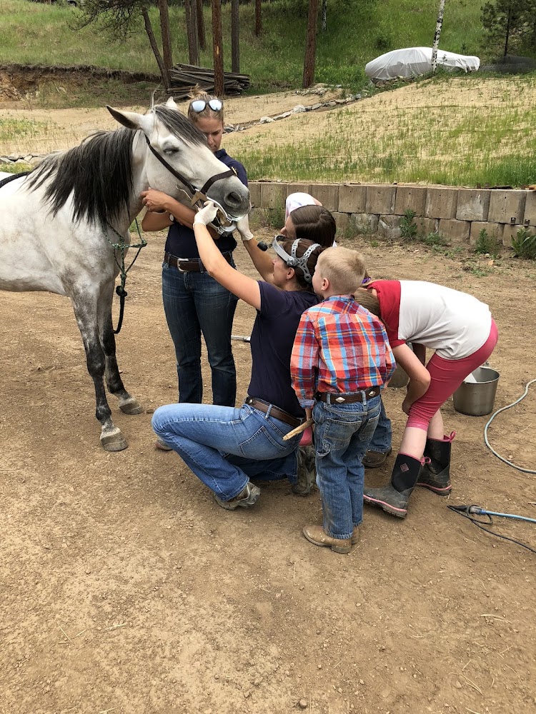 Mobile Veterinary Services